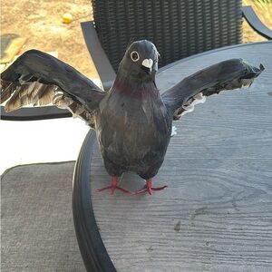 Realistic Grey  Pigeon Bird Figurine